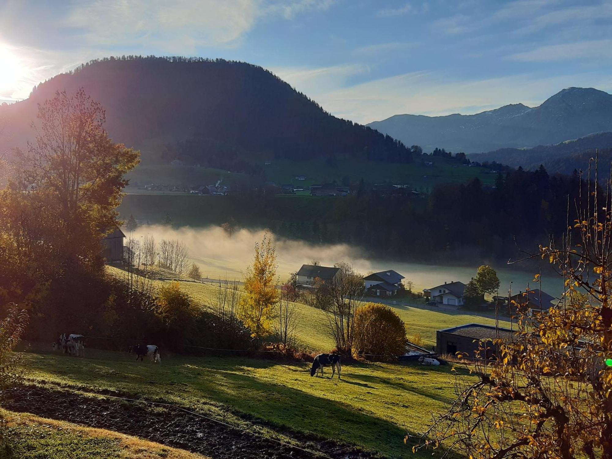 Ferienhof Duerlinde Hittisau Exterior photo